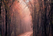 开云体育入口-铁血蓝狮的变形记：切尔西用战术魔方拼出14场不败神话