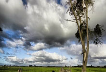 开云体育入口-铁血蓝狮的变形记：切尔西用战术魔方拼出14场不败神话