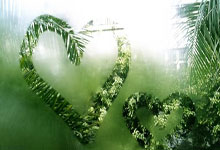 开云体育官方网站-帕尔梅拉斯球迷现场助威，球队斗志昂扬