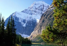 开云下载-阿尔希拉尔球迷现场助威，球队斗志昂扬