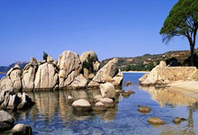 开云下载-阿尔希拉尔球迷现场助威，球队斗志昂扬