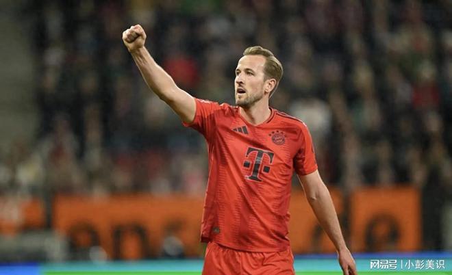 汉堡队后卫因紧急伤病退出下场比赛 汉堡队后卫因紧急伤病退出下场比赛