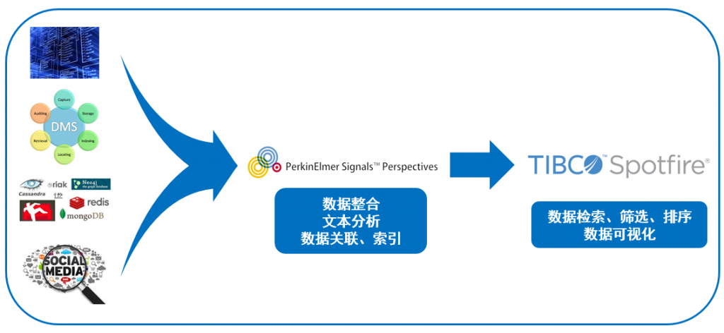 数据分析：国际迈阿密历史战绩与本届展望的简单介绍