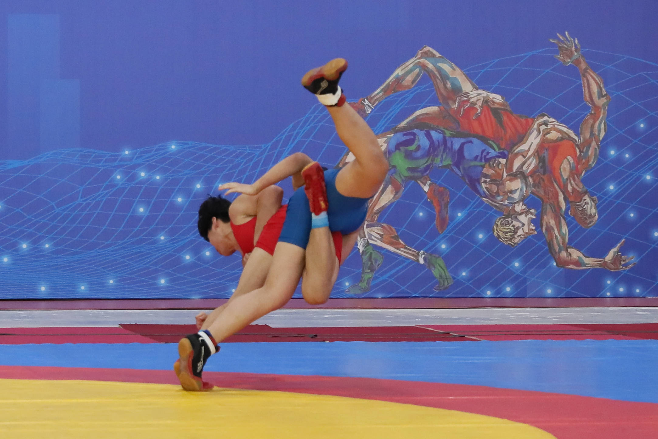 开云平台-包含荷兰代表团勇夺摔跤金牌，实力强大的词条