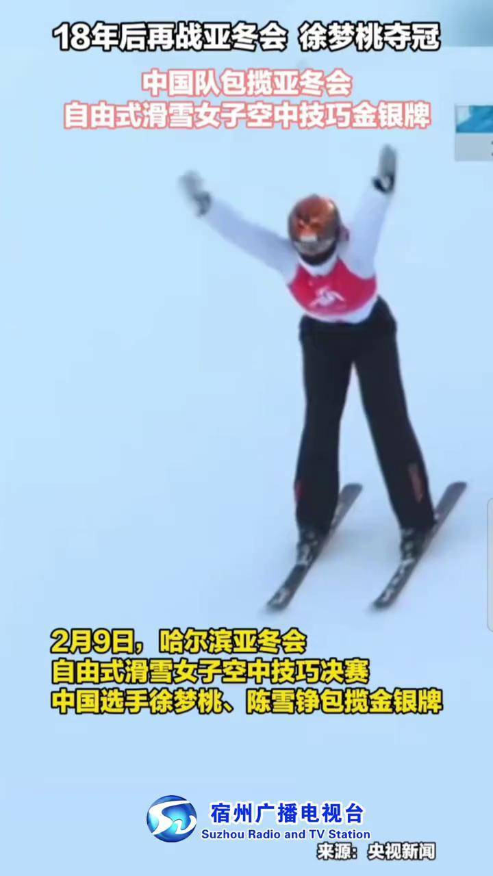 日本选手在自由式滑雪比赛中夺得银牌 日本选手在自由式滑雪比赛中夺得银牌