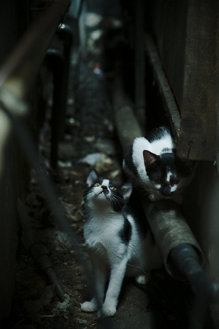 开云体育APP下载-德甲争冠之夜，托尼无可争议的全场最佳