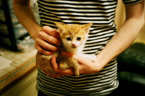 开云体育在线-绝杀铸就大场面先生，德罗赞冷血一击，爵士饮恨标靶中心