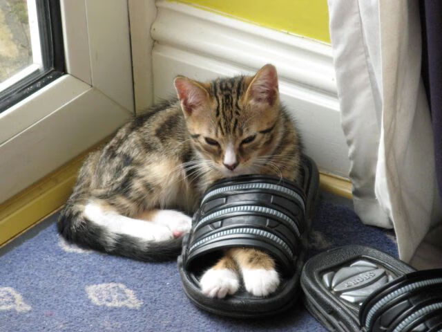 孙兴慜爆发,亚洲传奇正当时,比利亚雷亚尔,西甲潜艇攻占墨西哥湾—足球世界如何打破地理与文化的壁垒