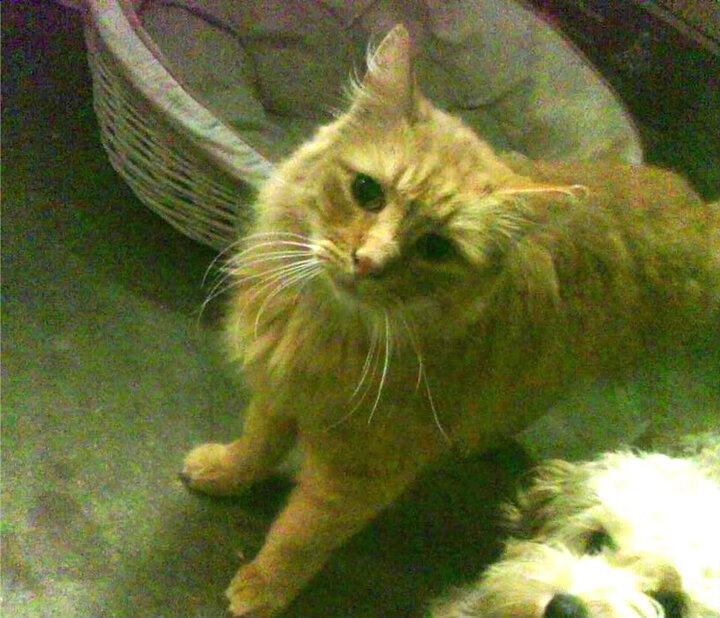 开云体育平台APP-双城记，从北京队的坚韧防守到乔治的绝境接管