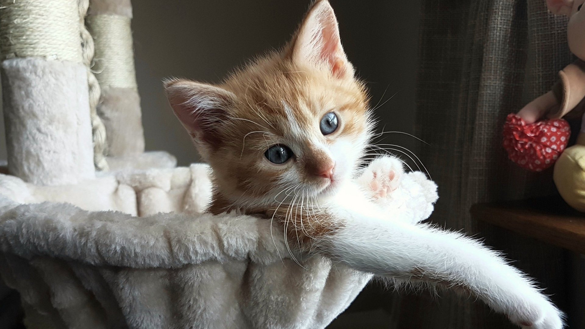 开云体育官方网站-篮框的暗号，当欧冠之夜遇见拉文的存在感