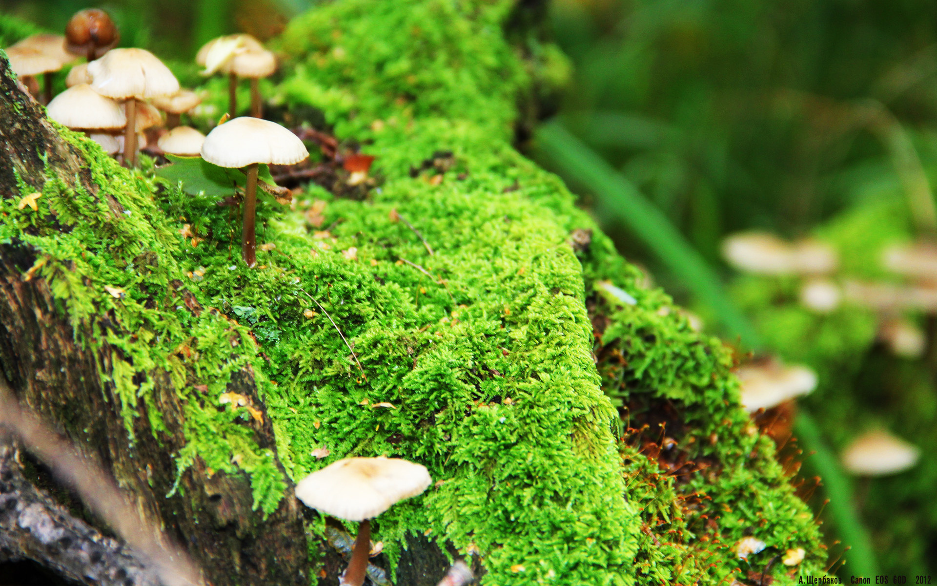 控制与接管,战术体系的精密与巨星时刻的闪耀—现代足球的双重奏