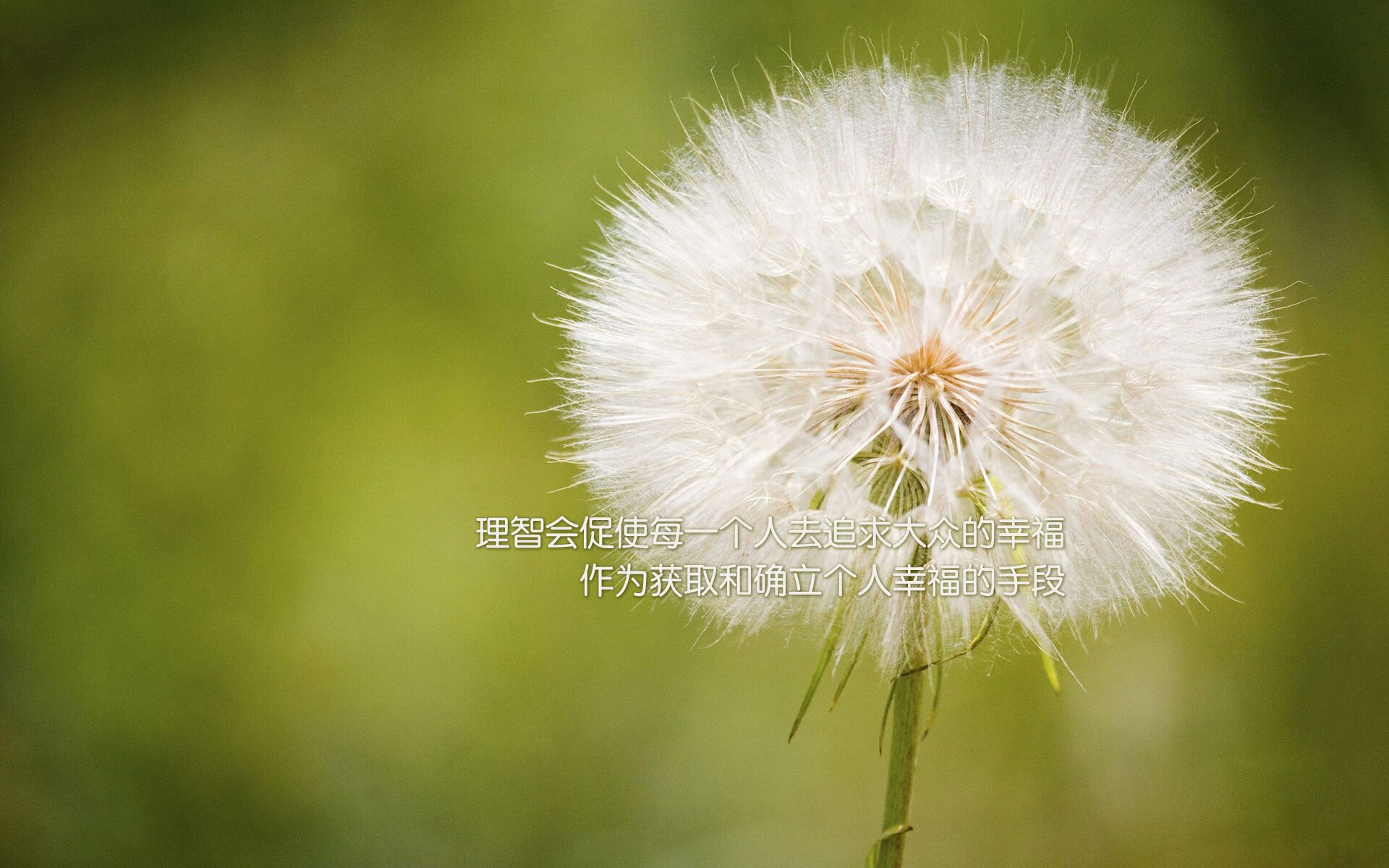 希腊连续得分压制英格兰，萨拉赫关键先生定胜局