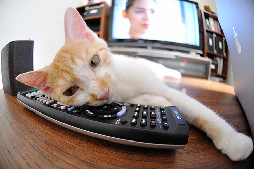 绿茵逆转启示录，从尼斯奇迹到贝林厄姆的加冕礼—足球如何定义不可能