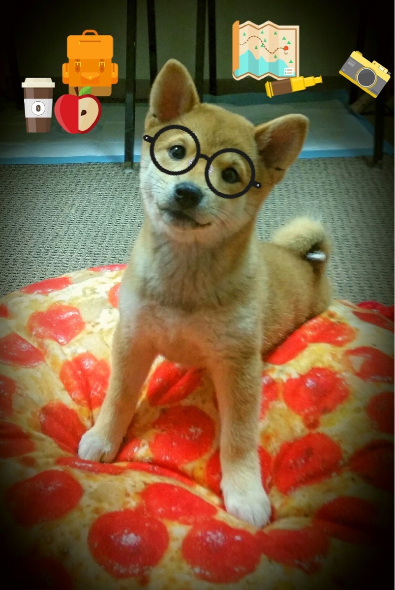 开云体育中国-极速飞驰与篮球轰鸣，当银石的火星遇见斯台普斯的浪潮