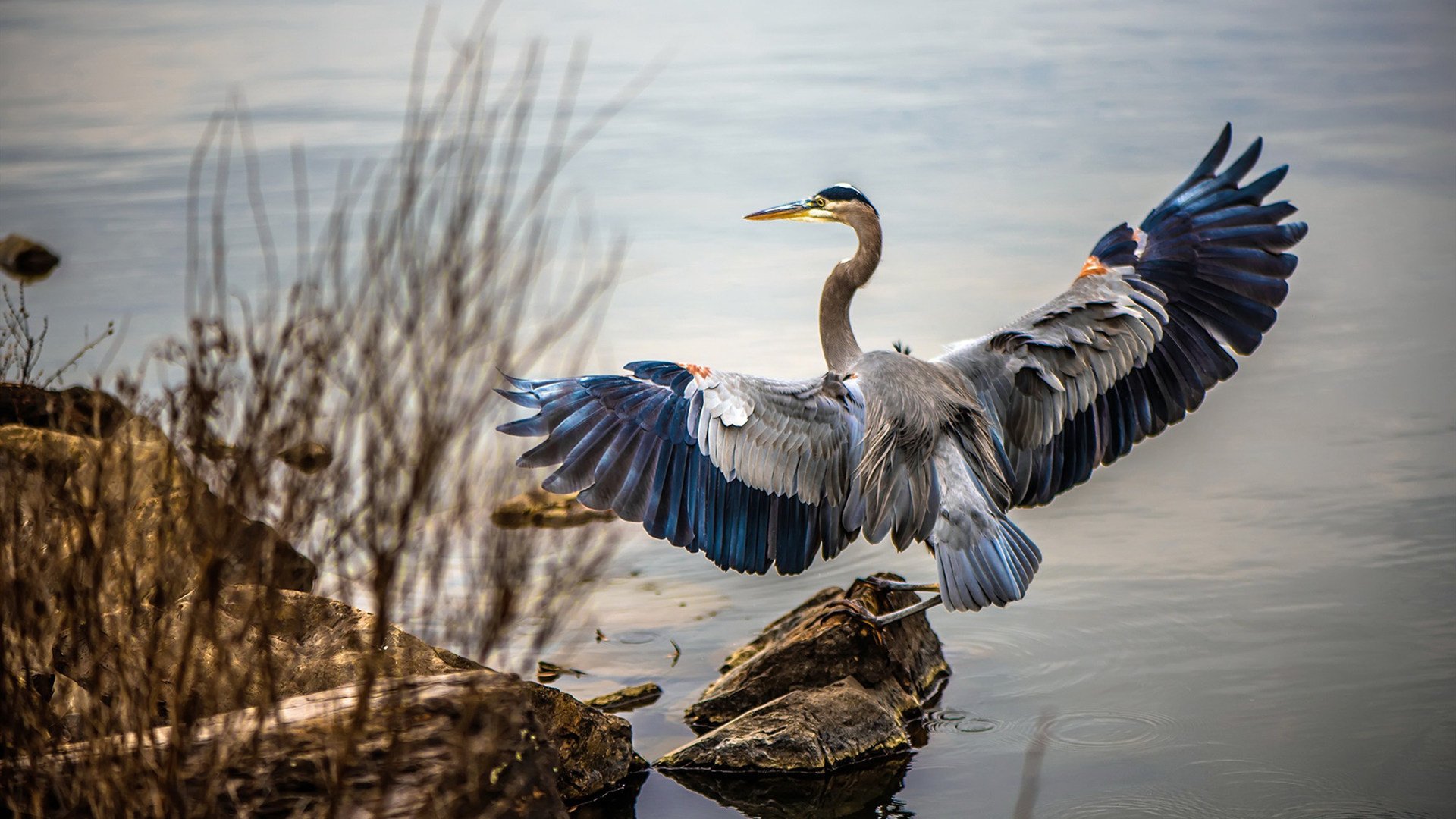 开云体育平台APP-巴斯托尼爆发！利物浦的安哥拉公式揭示欧冠晋级新密码