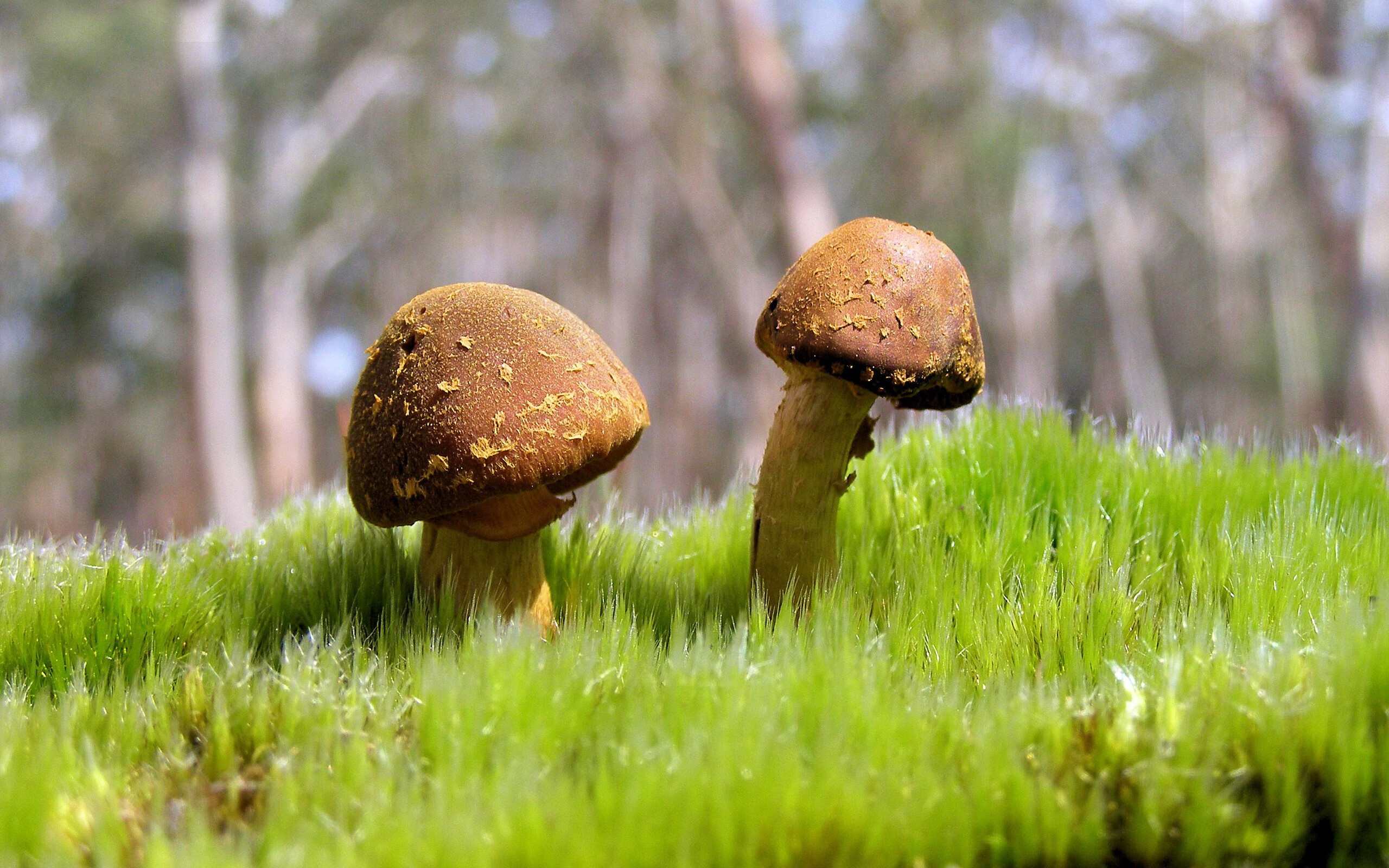 勇士末节掀翻火箭，拉文关键三分定乾坤