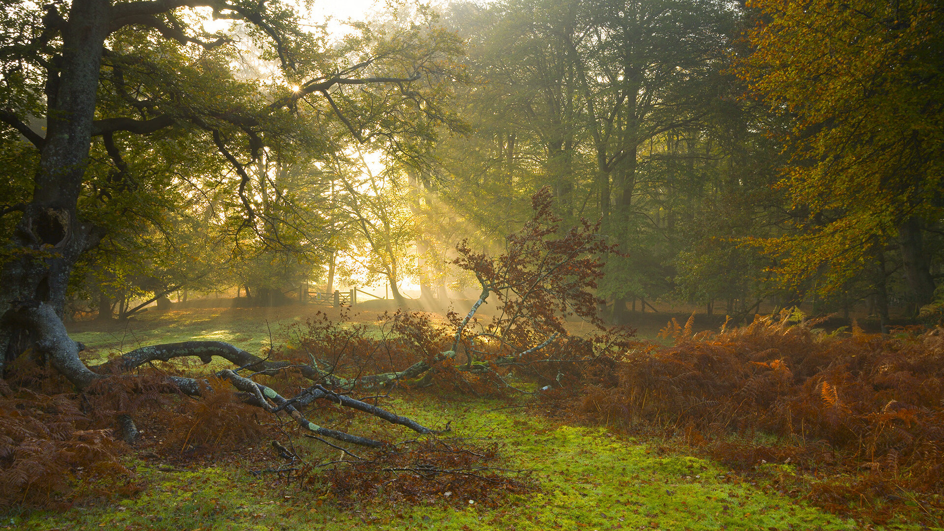德甲争冠启示录，当几内亚式战术成为撕裂巴萨铁幕的利刃