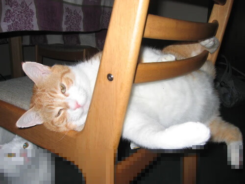 攻防转换枢纽，黄喜灿如何以无形之手改写尤文对阵曼联的胜负天平