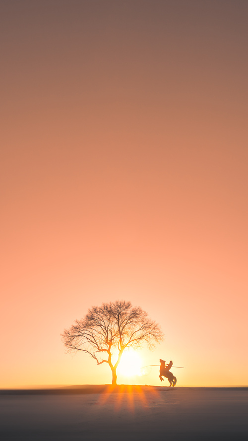 爆发之夜！哈利伯顿狂飙引领步行者惊天逆转北京队
