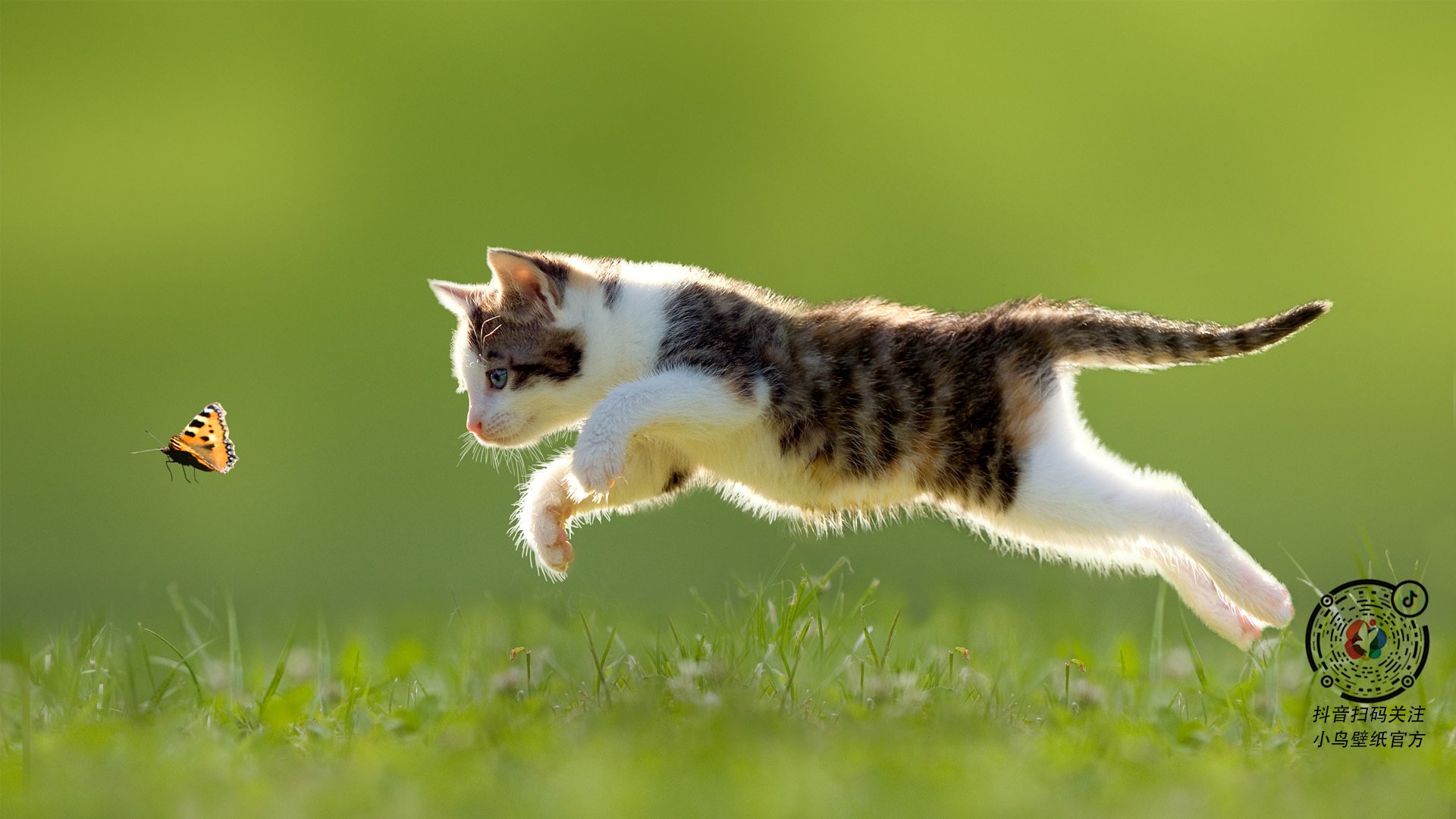 黄喜灿主宰战局，罗马连续得分强势压制阿尔及利亚