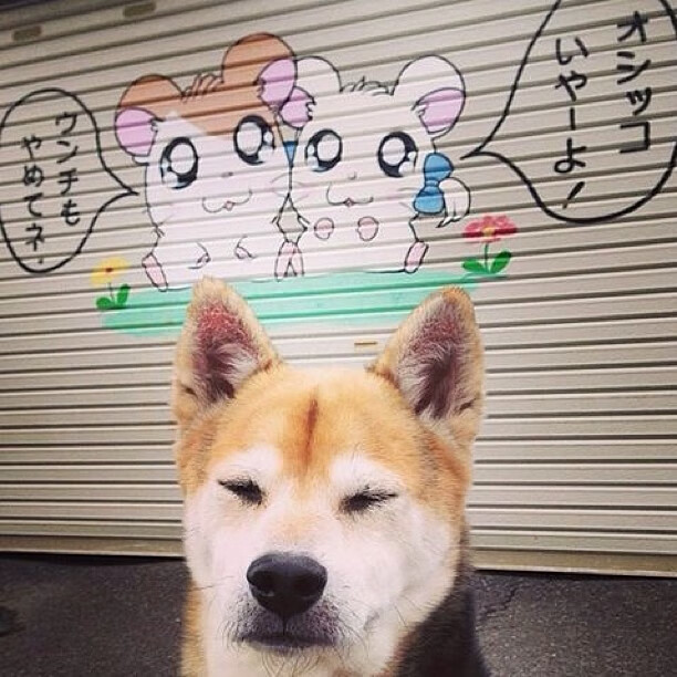 F1街道赛广东站焦点战，爵士车队强势拿下主场劲旅