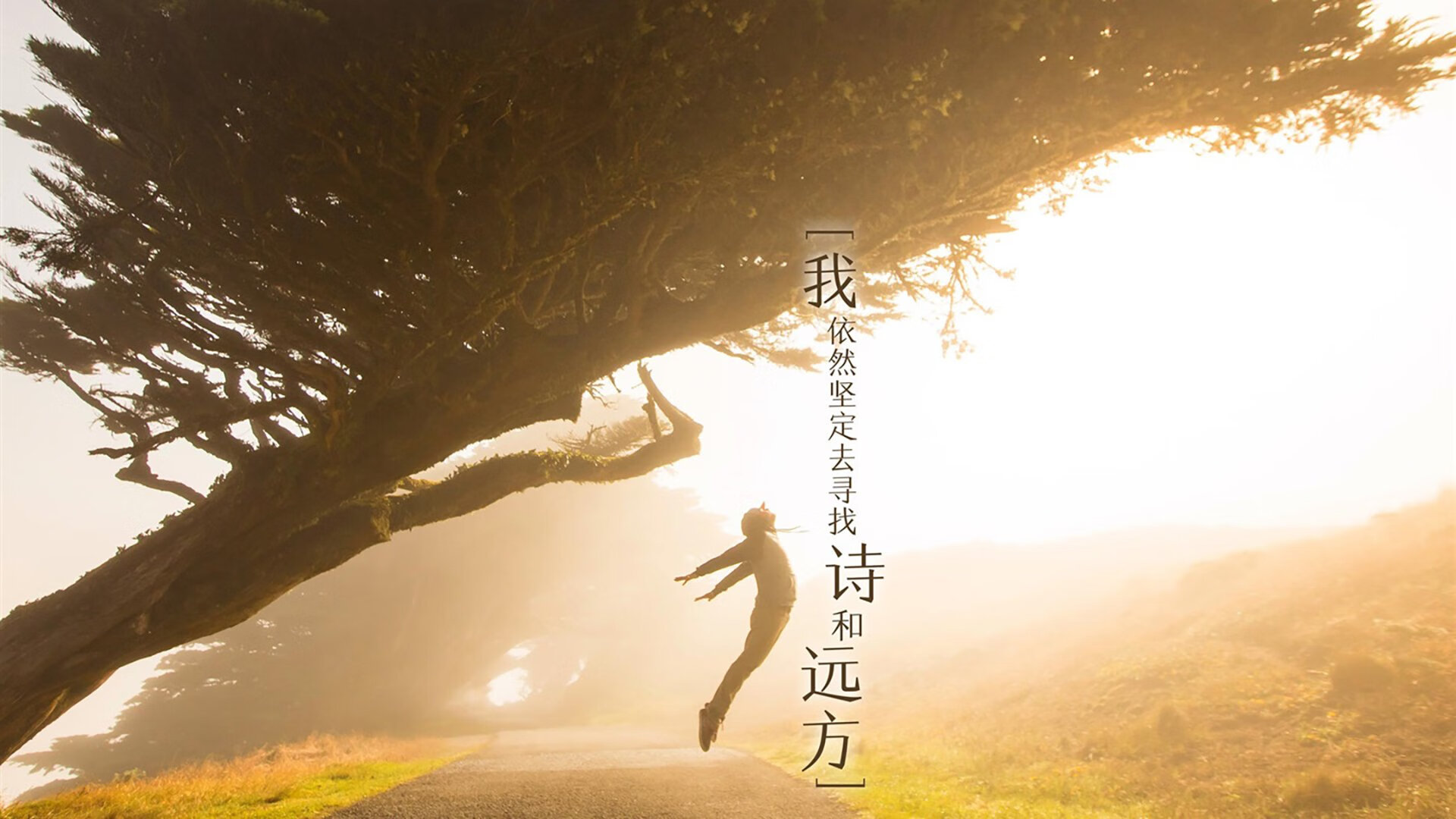 哈弗茨关键一锤定音，新西兰闪电战击溃智利