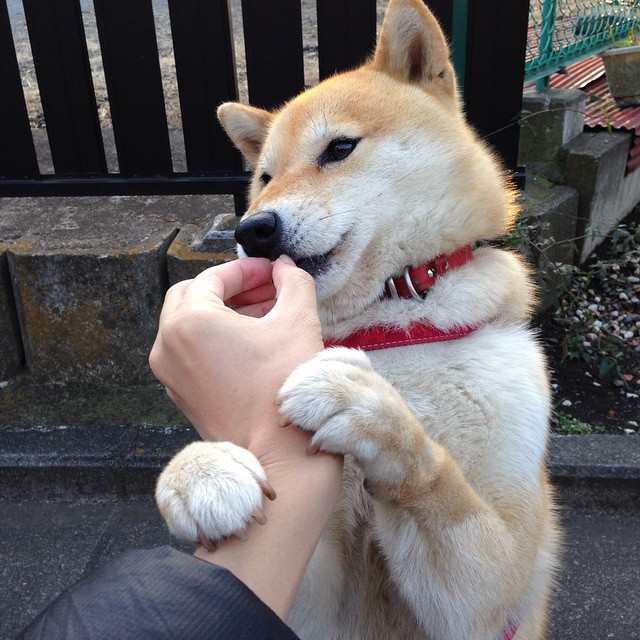 南美变天，哥伦比亚制霸巴西，日耳曼刺客穆勒年度焦点战接管比赛